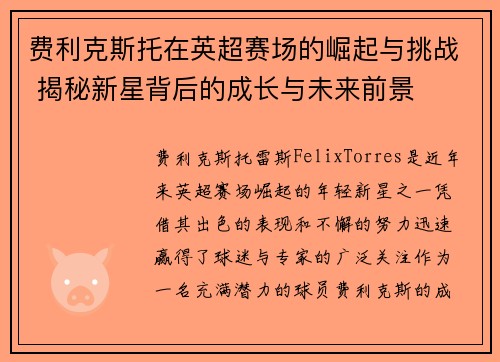 费利克斯托在英超赛场的崛起与挑战 揭秘新星背后的成长与未来前景