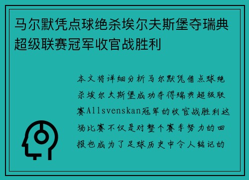 马尔默凭点球绝杀埃尔夫斯堡夺瑞典超级联赛冠军收官战胜利